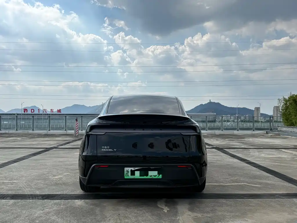 Tesla Model Y — миниатюра 5