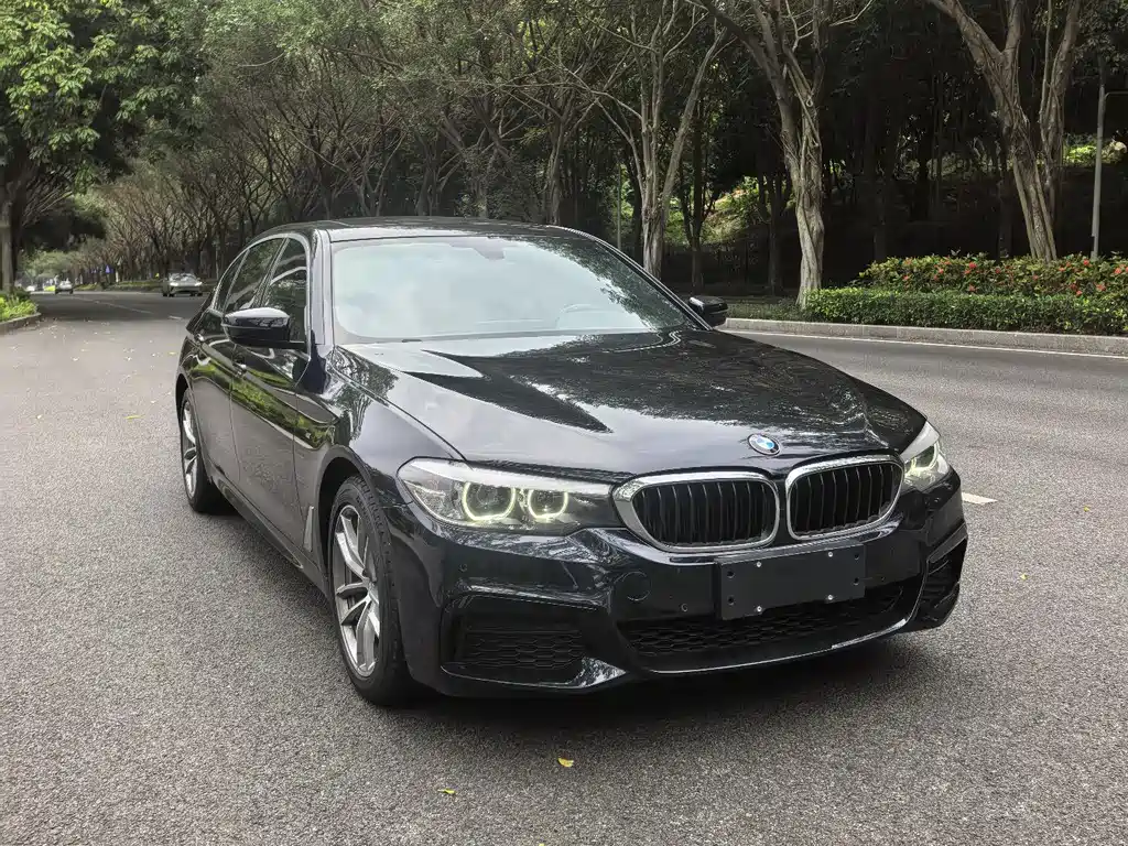BMW 5 Series 5 2020 525Li M Sport
