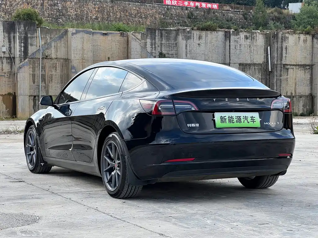 Tesla Model 3 — миниатюра 7