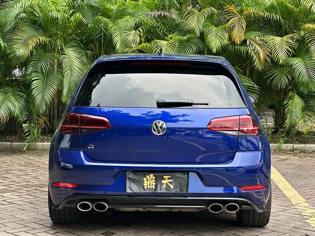 Volkswagen Golf (Import) — миниатюра 33