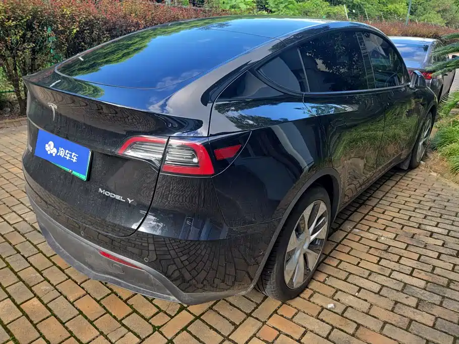 Tesla Model Y — миниатюра 3