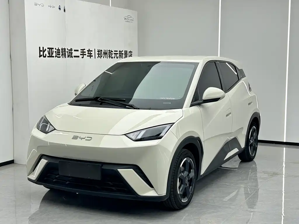 BYD Seagull
