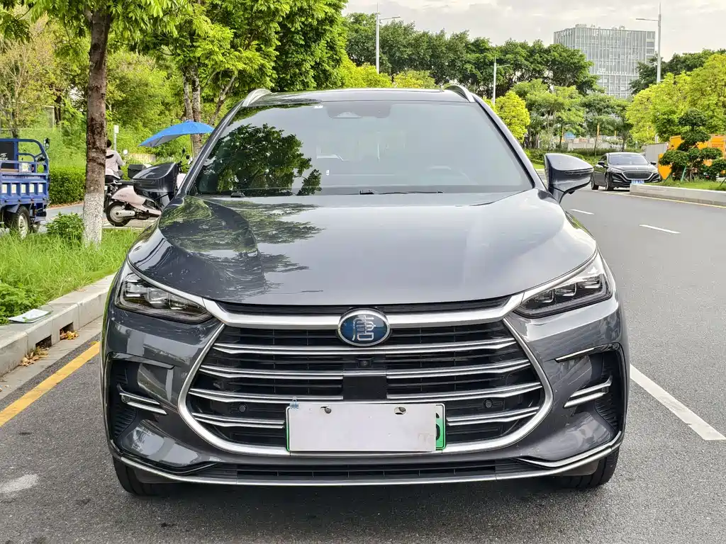 BYD Tang New Energy — миниатюра 2