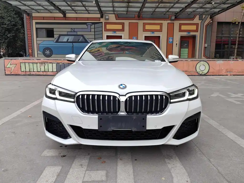 BMW 5 Series — миниатюра 2