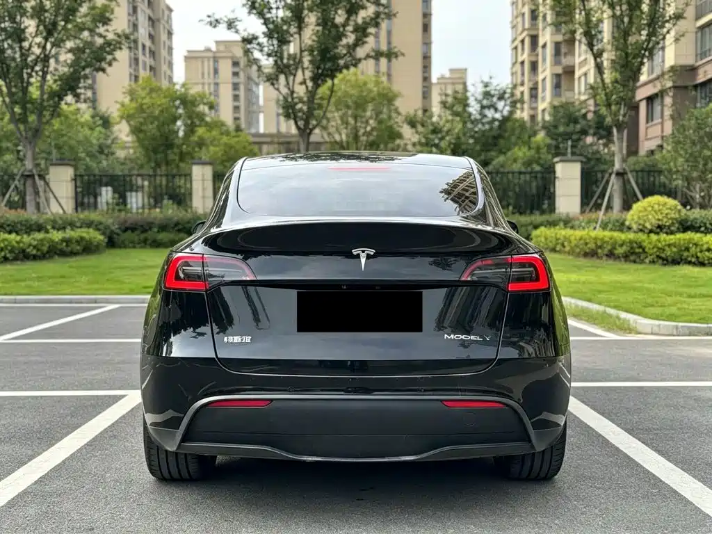 Tesla Model Y — миниатюра 9