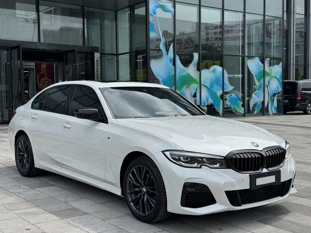 BMW 3 Series — миниатюра 2