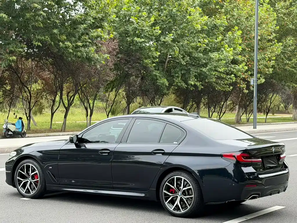 BMW 5 Series (Import) — миниатюра 10