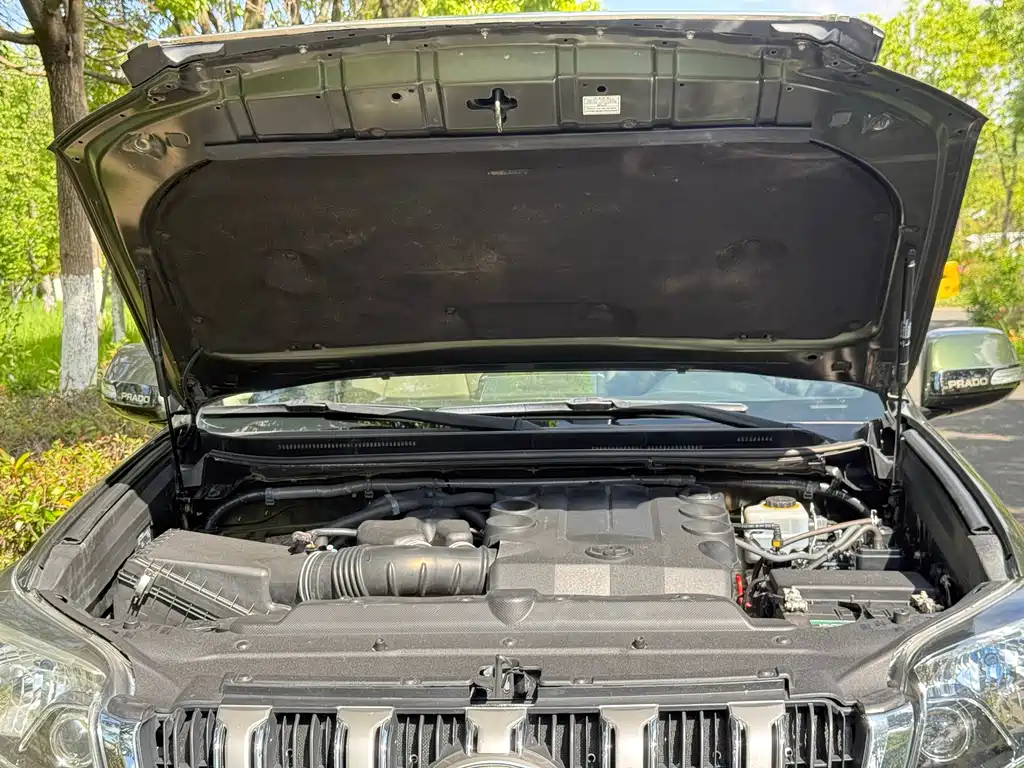 Toyota Prado — миниатюра 17