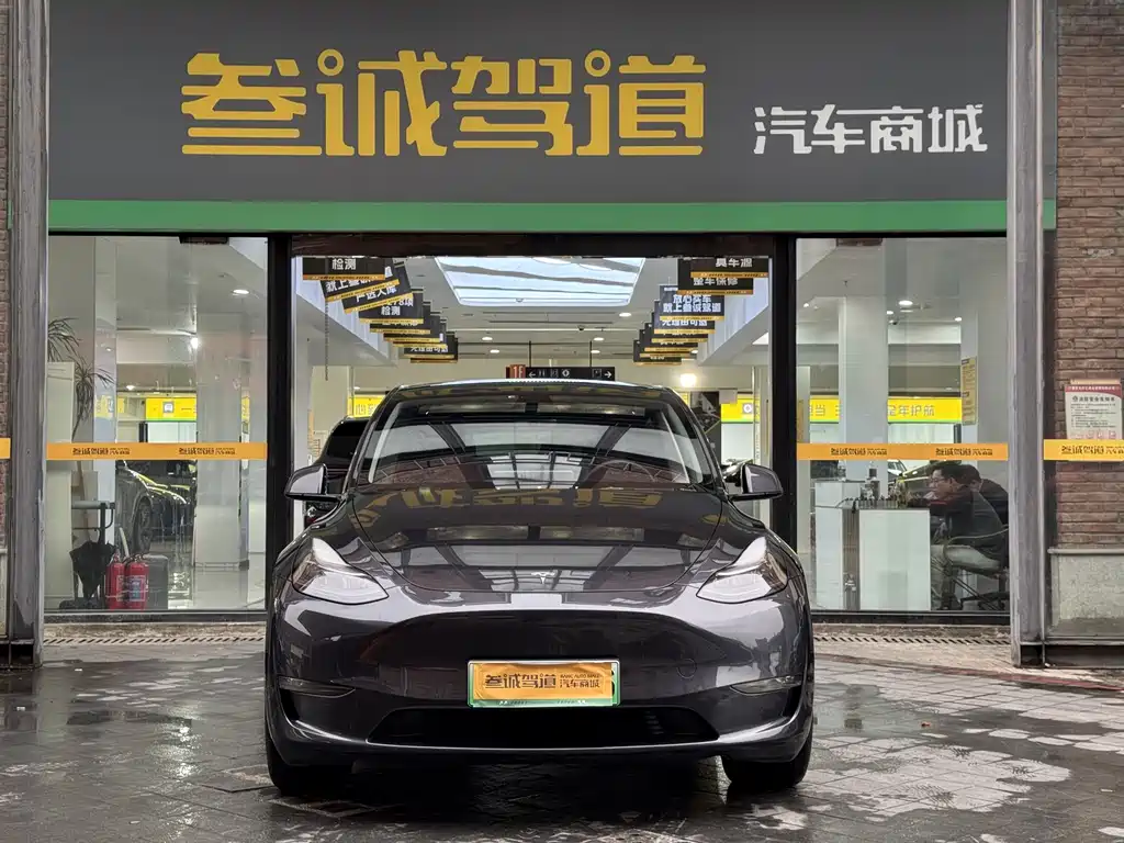 Tesla Model Y — миниатюра 2