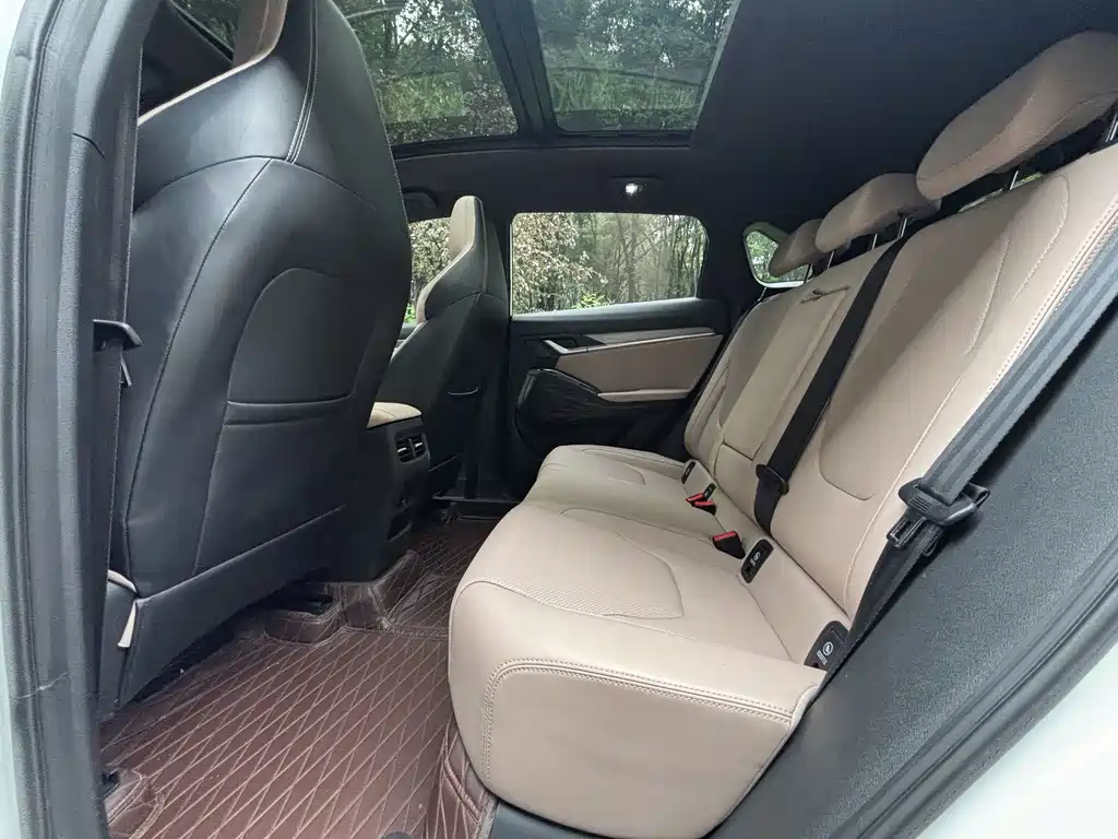JAC JAC QX PHEV — миниатюра 8