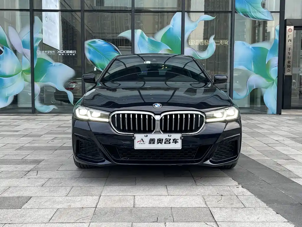 BMW 5 Series — миниатюра 3