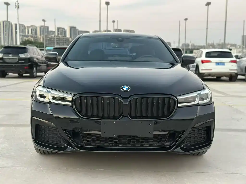 BMW 5 Series — миниатюра 2