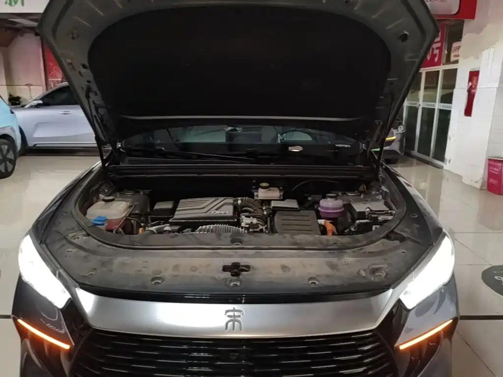BYD Pro New Energy — миниатюра 20