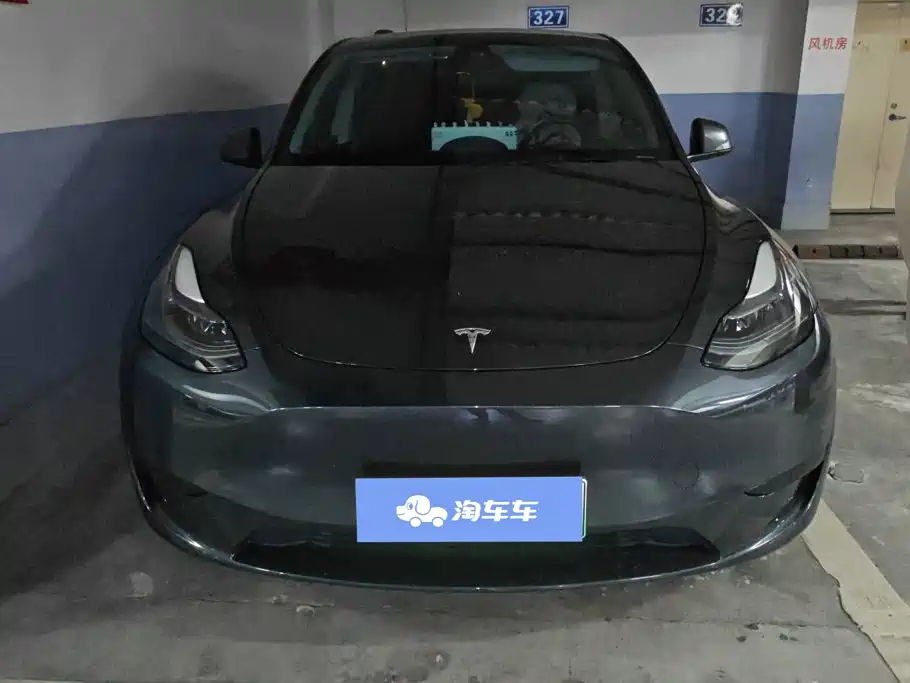 Tesla Model Y — миниатюра 2