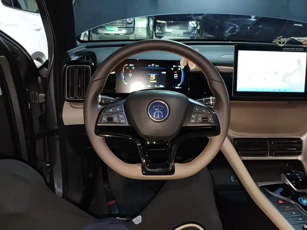 BYD Pro New Energy — миниатюра 11