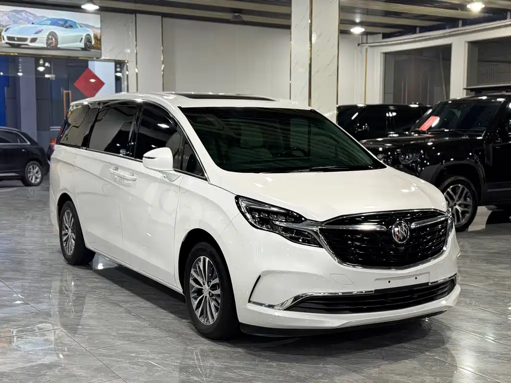 Buick GL8 — миниатюра 3