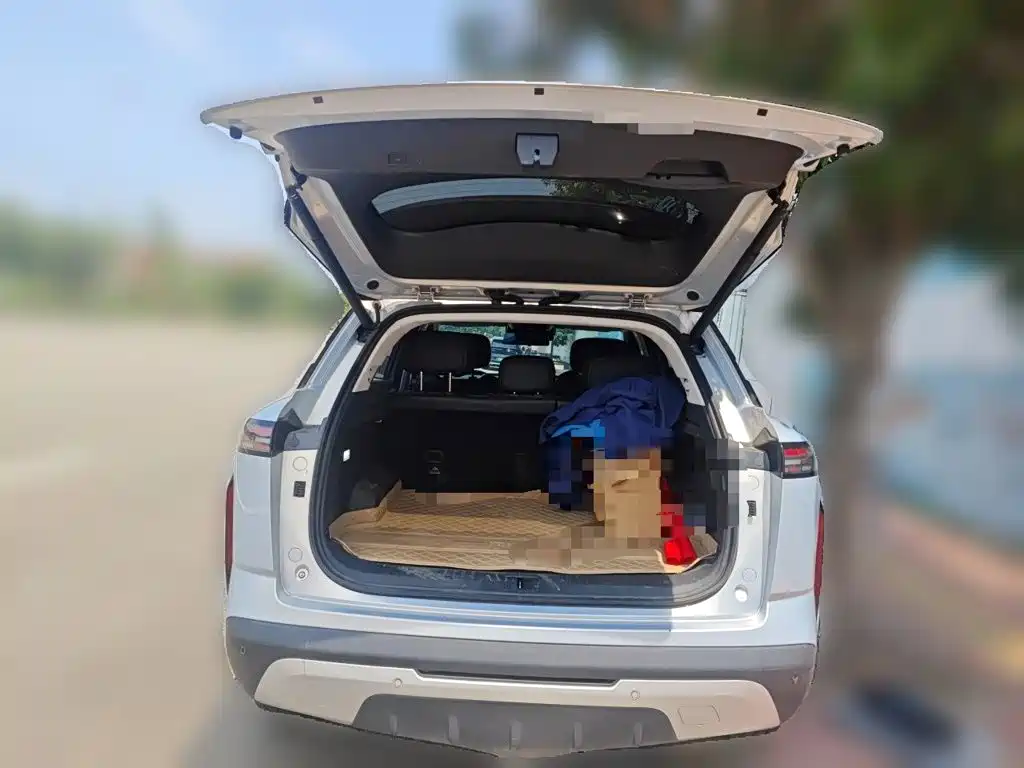 Chery C-DM — миниатюра 15