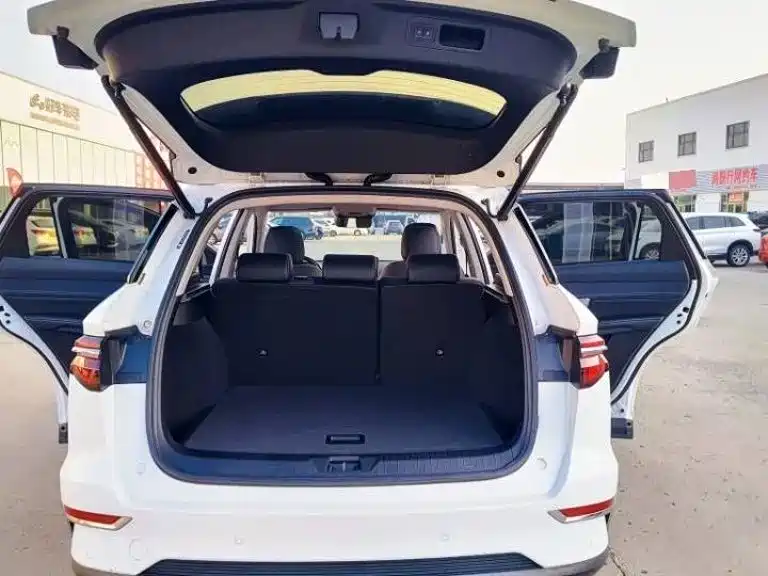 BYD Pro New Energy — миниатюра 5