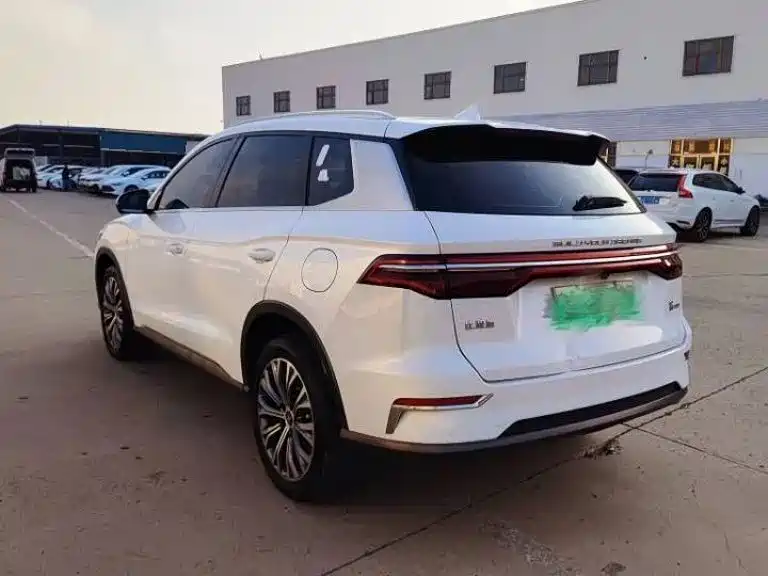 BYD Pro New Energy — миниатюра 6