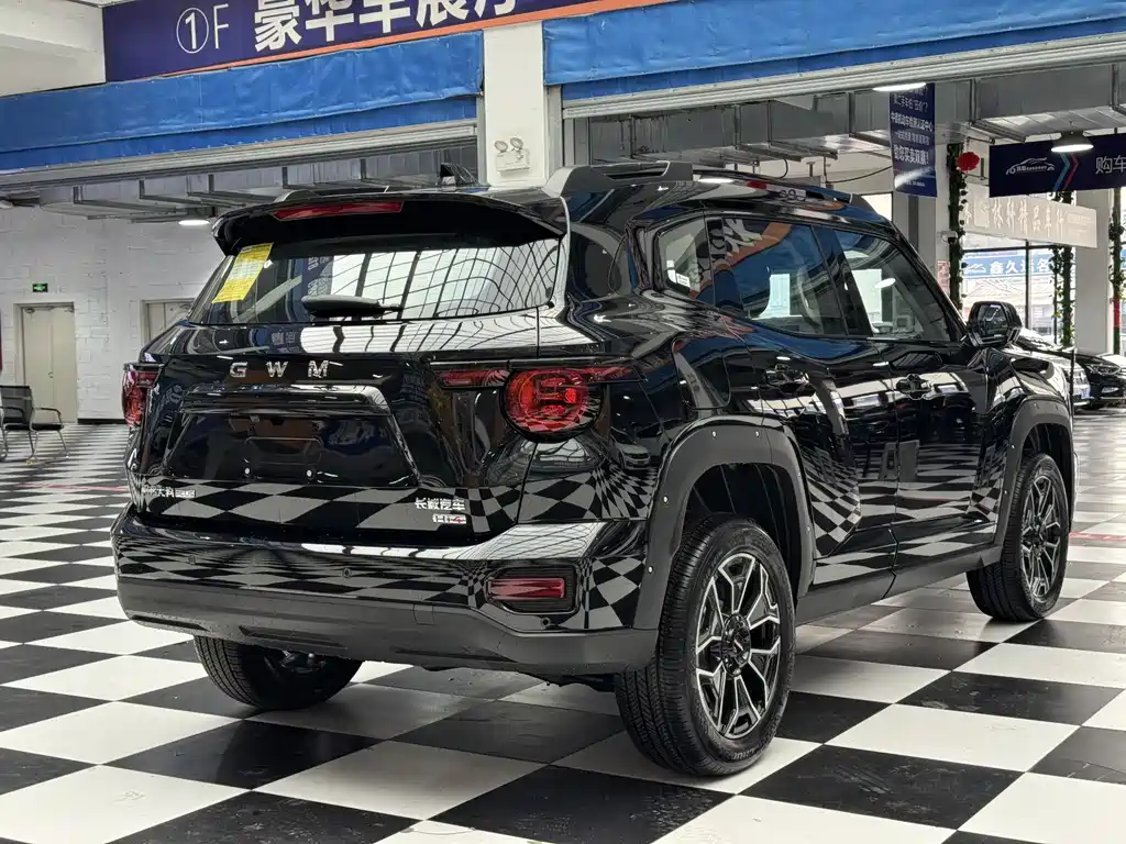 Haval Big Dog PLUS New Energy — миниатюра 7