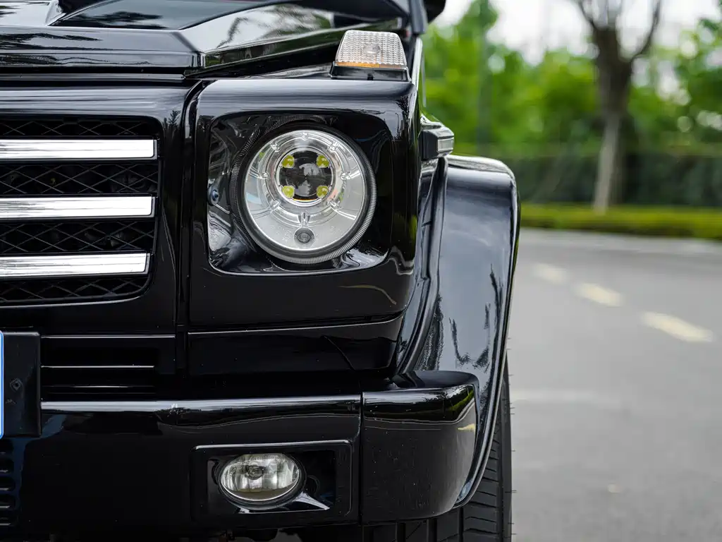 Mercedes-Benz G-Class A MG G AMG 2009 AMG G 55