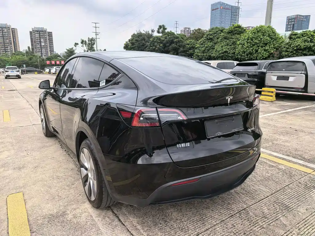 Tesla Model Y — миниатюра 10