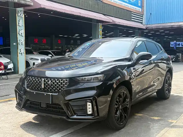 2019 Wey VV7