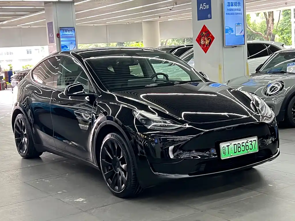 Tesla Model Y — миниатюра 3