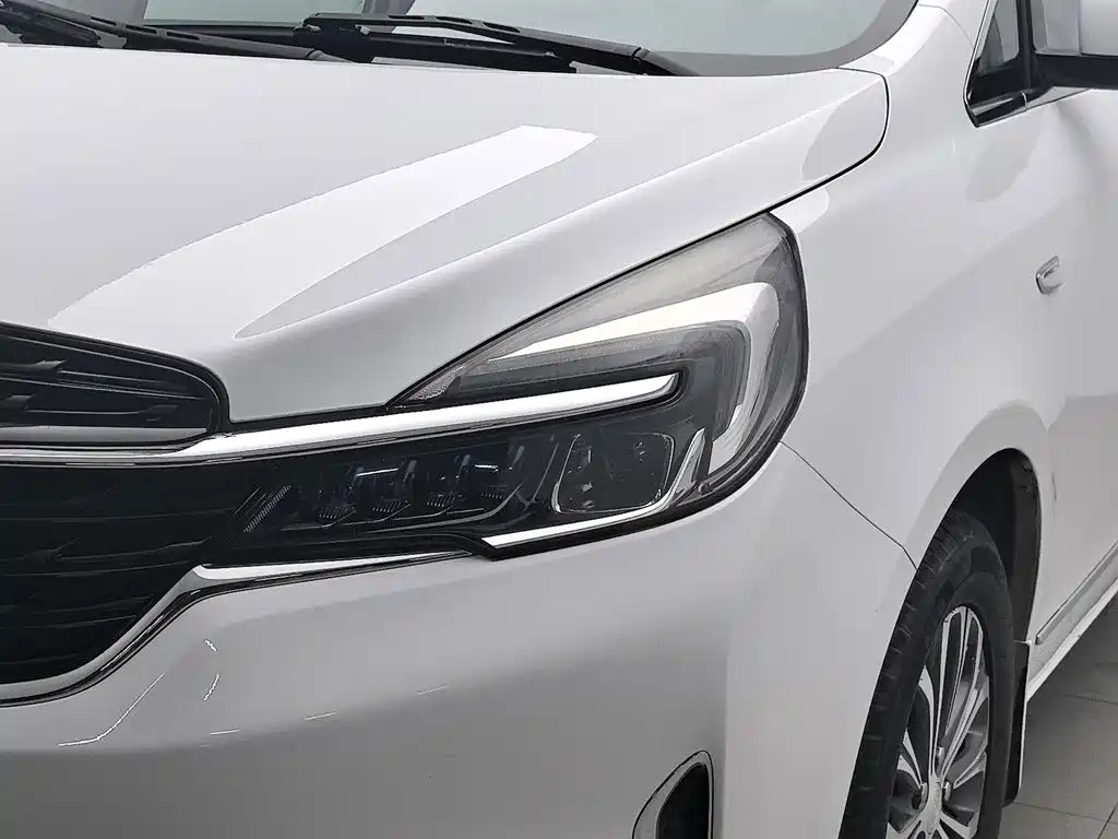 Buick GL8 — миниатюра 7