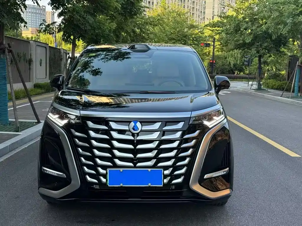 Denza D9