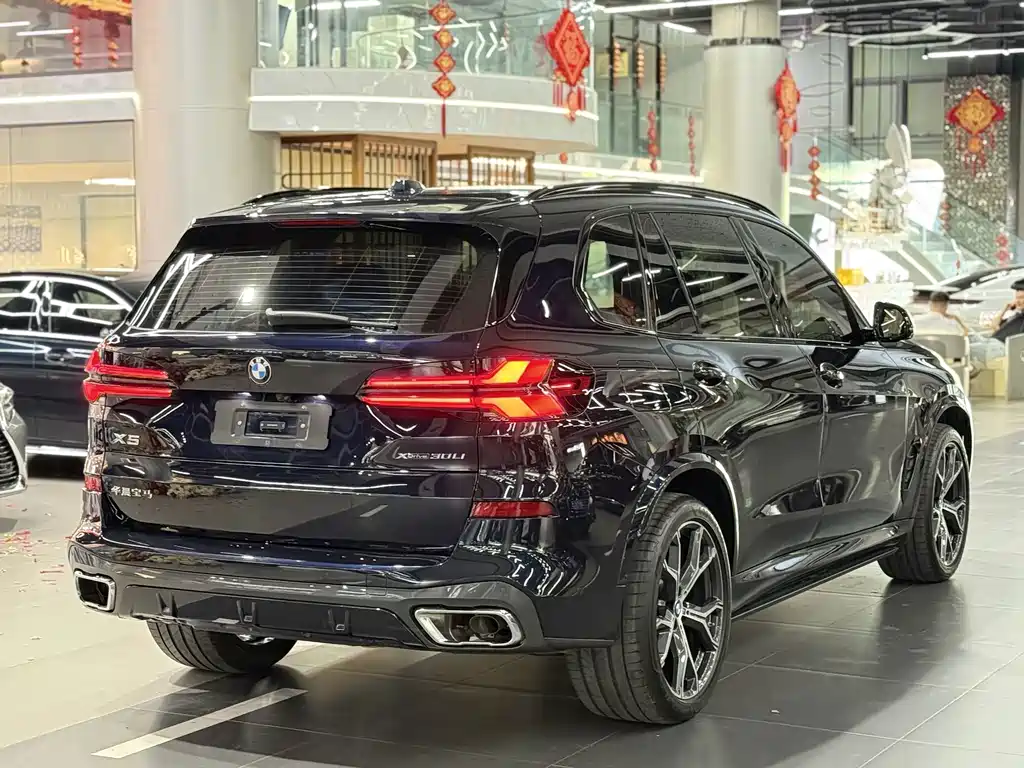 BMW X5 — миниатюра 8