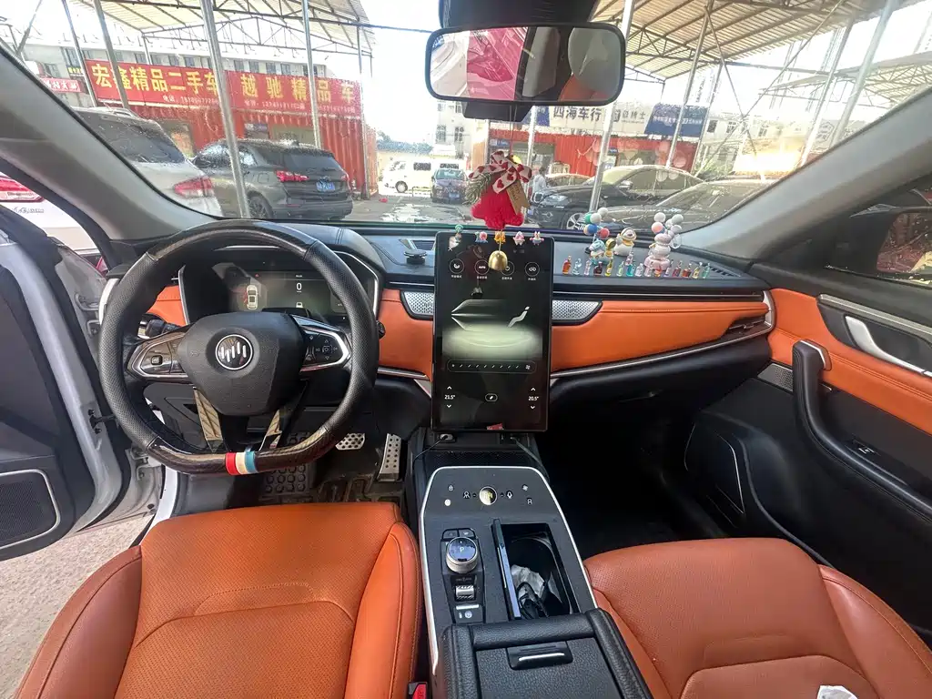 WM Motor EX5 — миниатюра 8