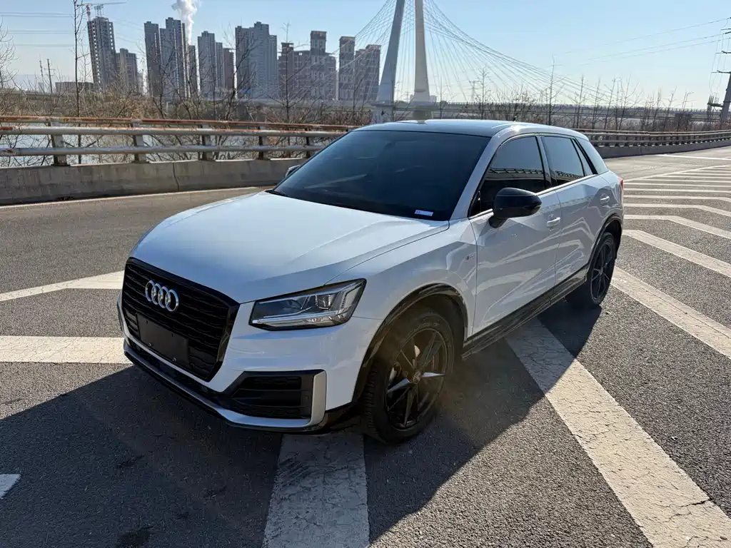 Audi Q2L 2020