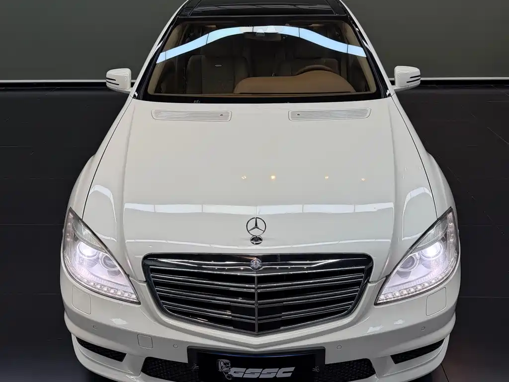 Mercedes-Benz S-Class A MG S AMG 2010 AMG S 65