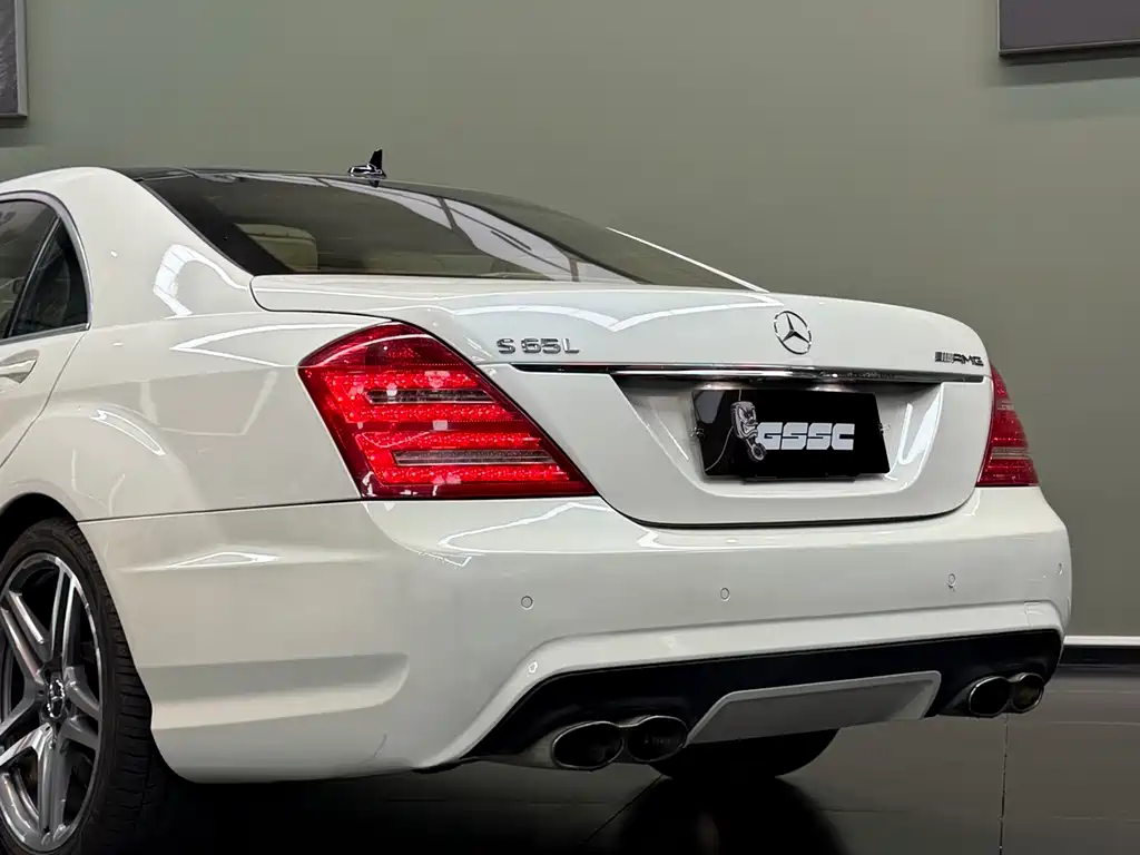 Mercedes-Benz S-Class A MG S AMG 2010 AMG S 65