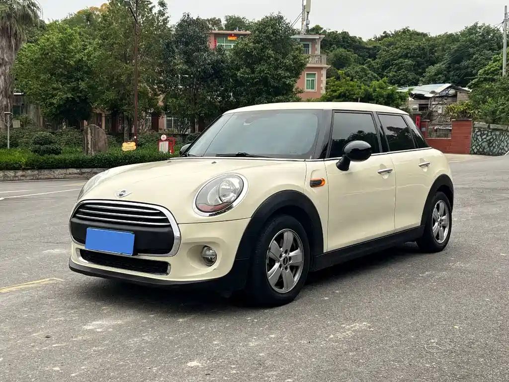 Mini Mini 2017
