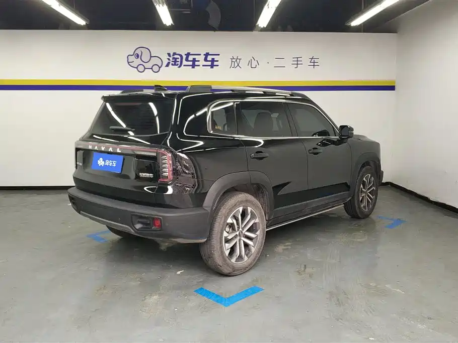 HAVAL BIG DOG