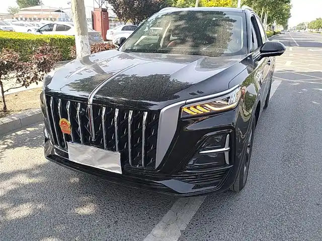 2024 Hongqi HS5