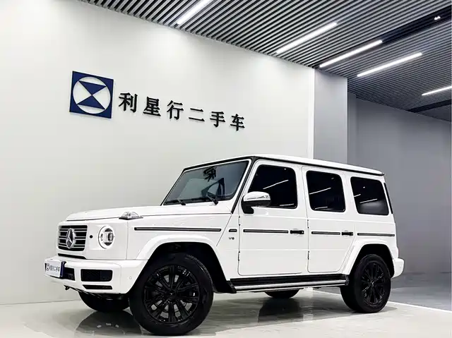 MERCEDES-BENZ G CLASS