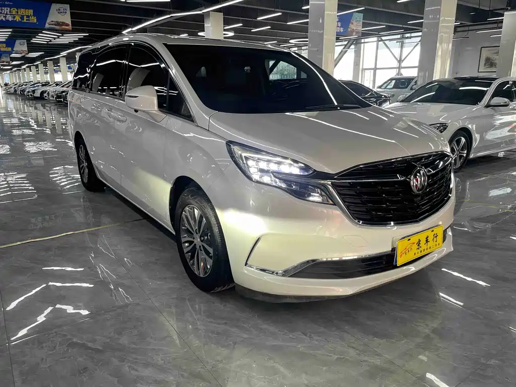Buick GL8 — миниатюра 3
