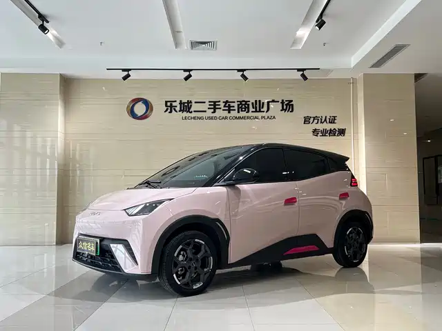 2025 BYD Seagull