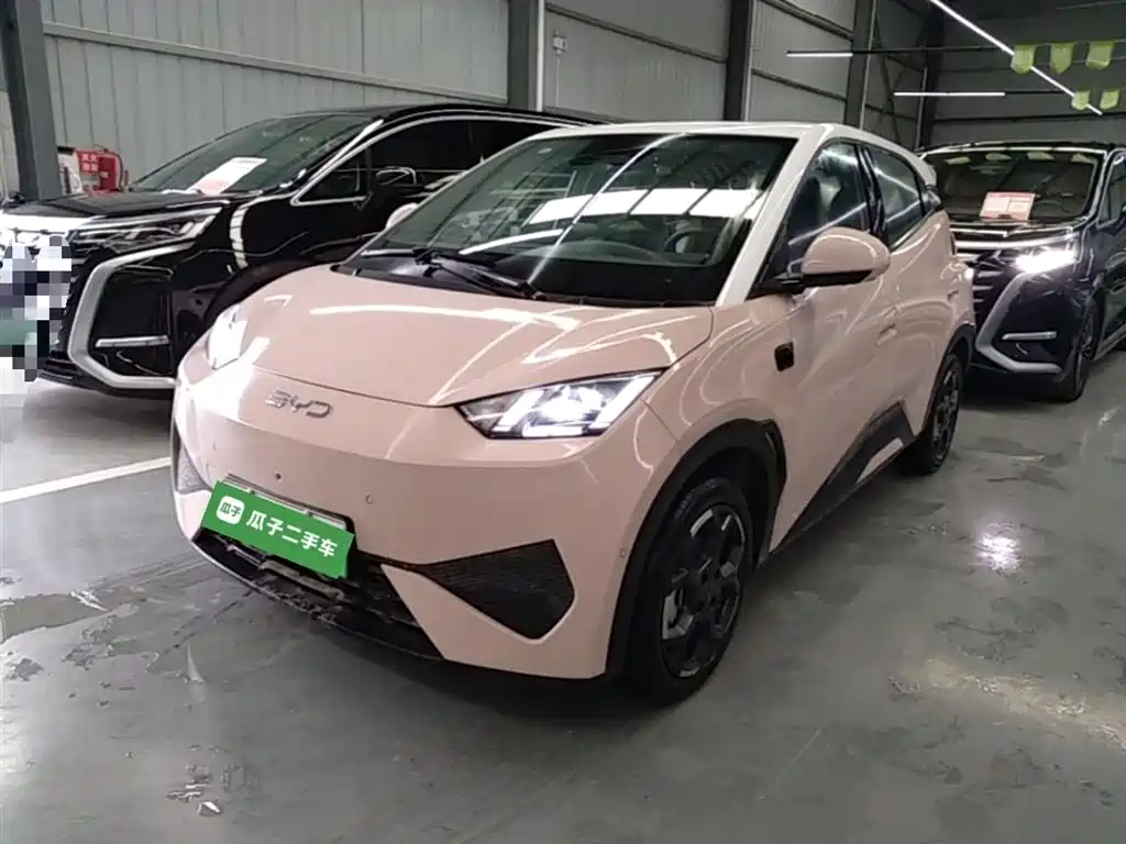 Byd Seagull 2025