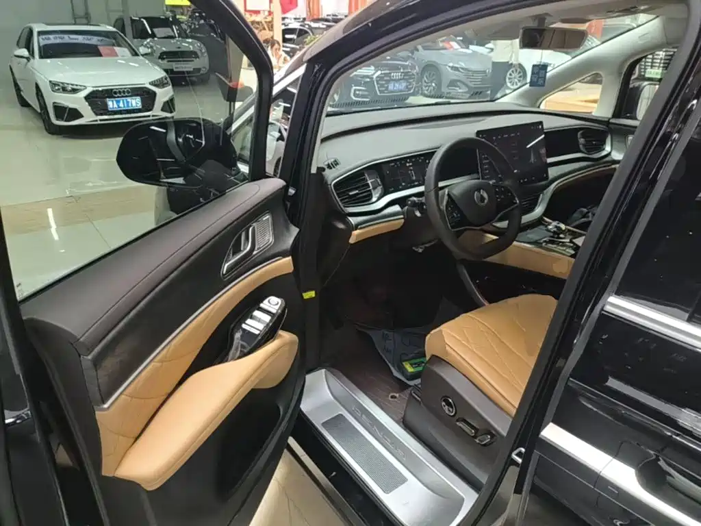 Denza Denza D9 — миниатюра 16