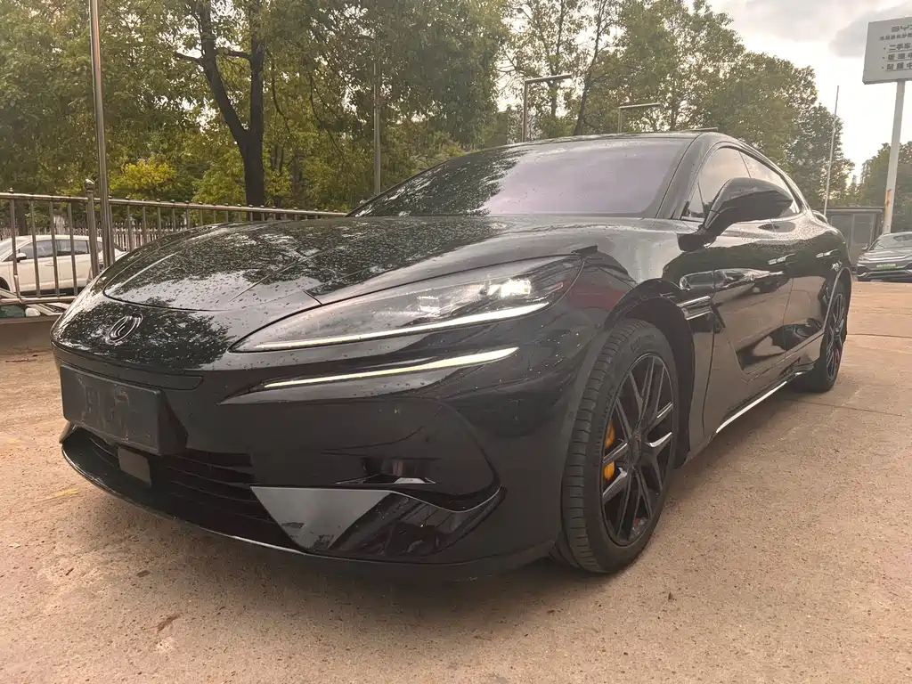 Denza Z9GT 2024 1100 Max