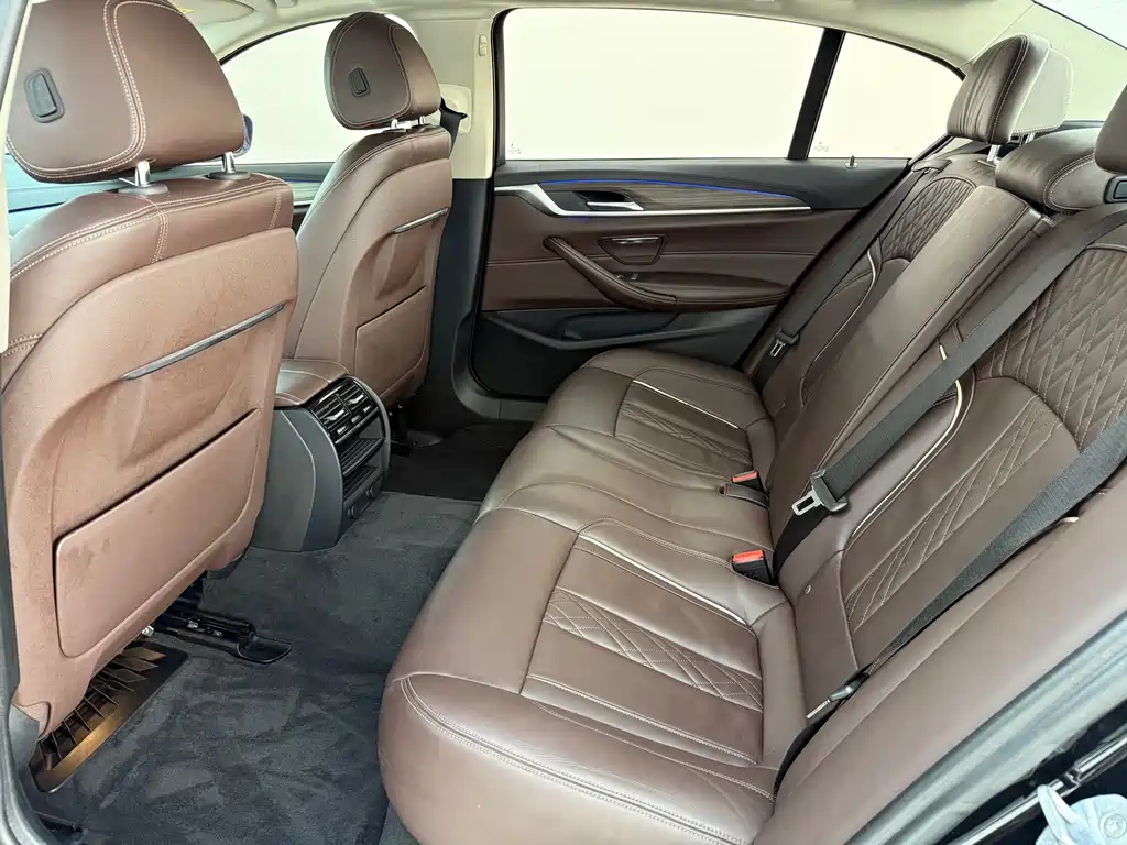 BMW 5 Series 5 2019 530Li Lead Luxury