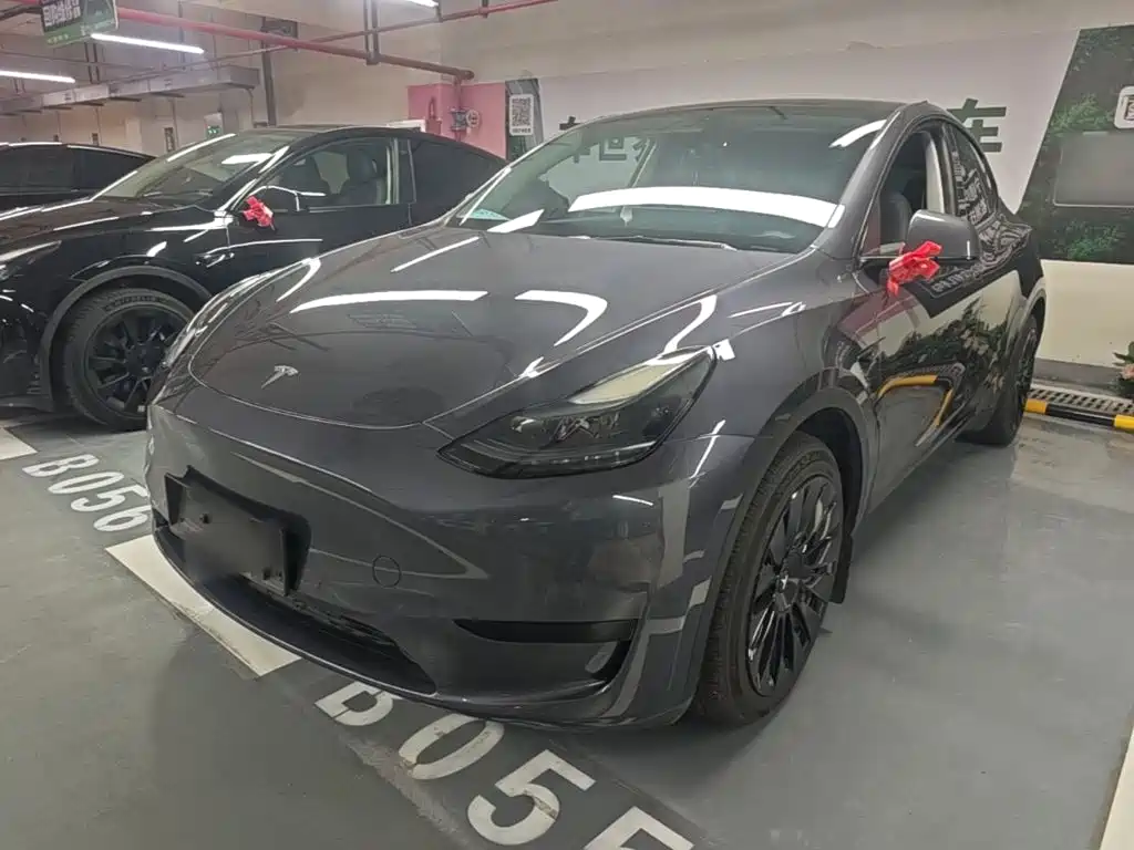 Tesla Model Y — миниатюра 2