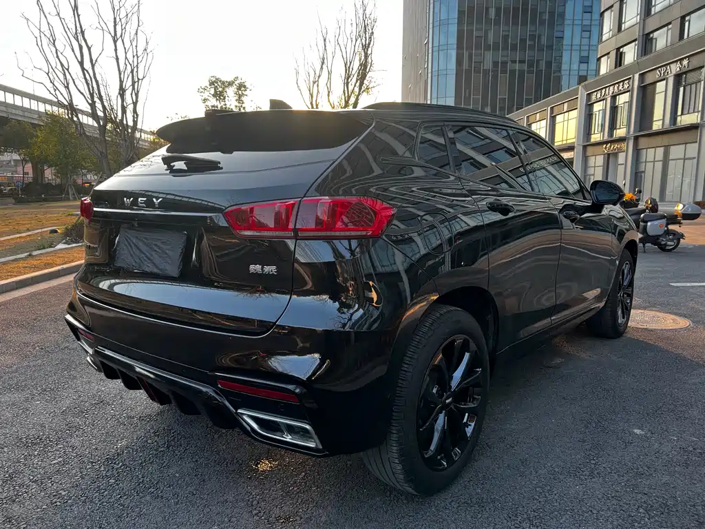 WEI PAI WEI BRAND VV7