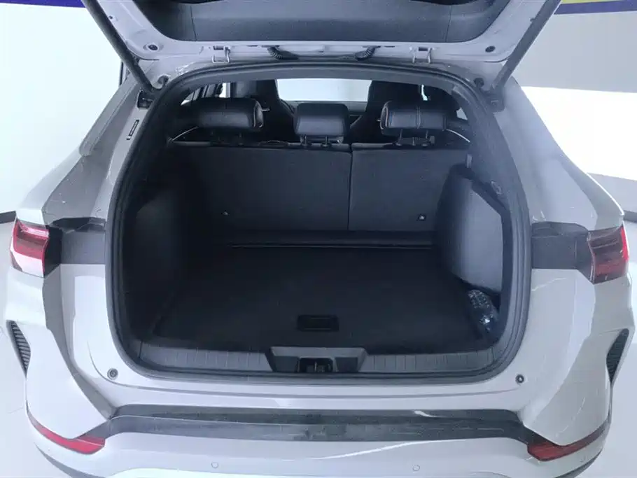 BYD Song Plus PLUS 2024 DM-i 110km Flagship