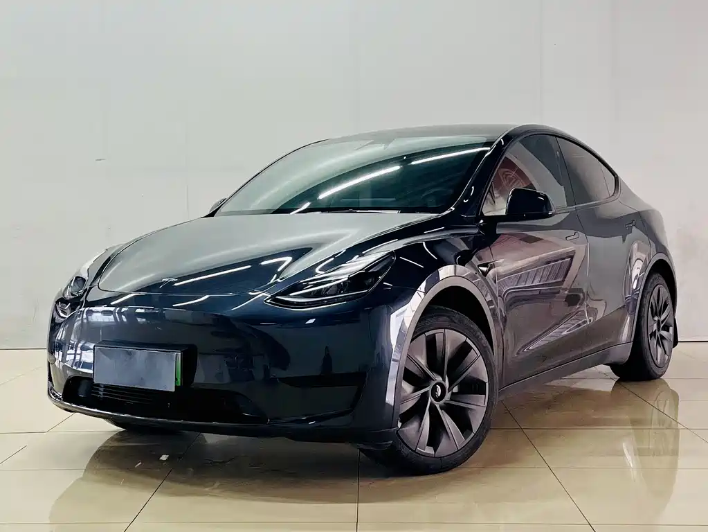 Tesla Model Y — миниатюра 2