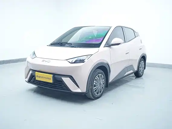 2024 BYD Seagull